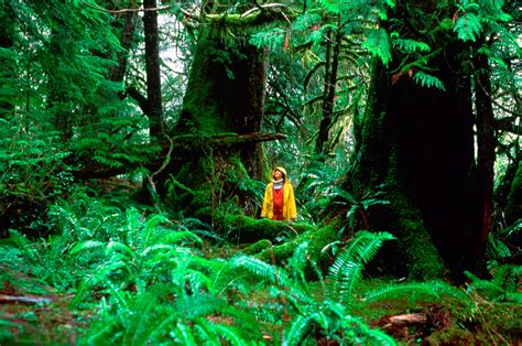 WILDLIFE HABITAT .